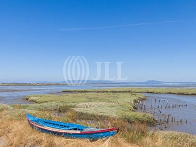/international/pt/comporta-setubal-municipality-310104250368/