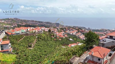 /international/pt/estreito-camara-de-lobos-madeira-310107559781/
