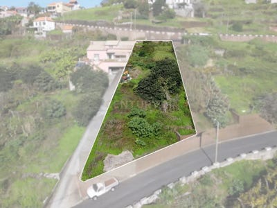 /international/pt/rua-general-jose-vicente-freitas-ilha-da-madeira-madeira-310101598084/
