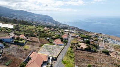 /international/pt/estreito-da-calheta-madeira-310107922111/