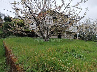 /international/pt/penajoia-lamego-porto-120091306094/