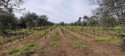 /international/pt/vilar-seco-braganca-310100671206/?lang=zh-tw