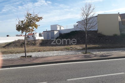 /international/pt/santarem-santarem-310093931081/