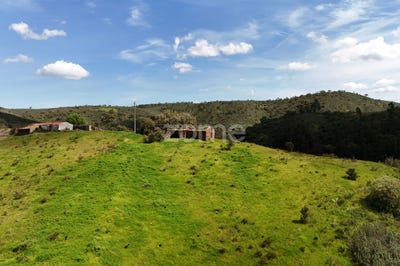 /international/pt/odemira-beja-310106965738/