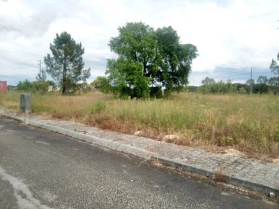 /international/pt/n119-56-2100-portugal-biscainho-setubal-municipality-310099546114/