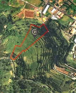 /international/pt/pedregal-faja-do-freire-ilha-da-madeira-madeira-310105101496/