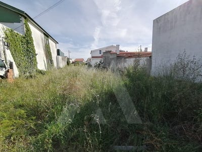 /international/pt/gafanha-da-nazare-aveiro-310100276885/