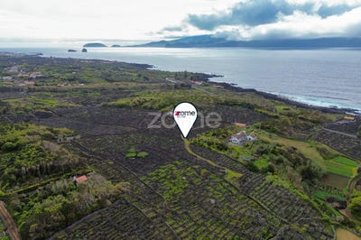 /international/pt/madalena-azores-310100673283/