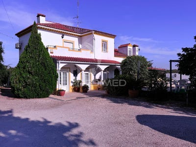 /international/pt/assuno-ajuda-salvador-e-santo-ildefonso-elvas-portalegre-310102669281/