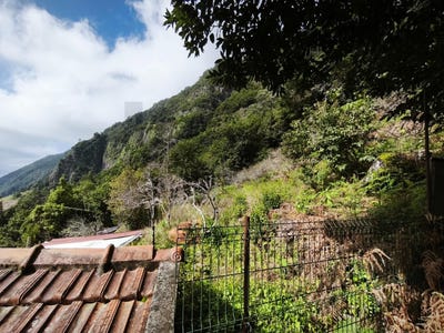 /international/pt/sao-vicente-madeira-310108429713/