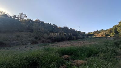/international/pt/castelo-novo-santarem-310094785973/