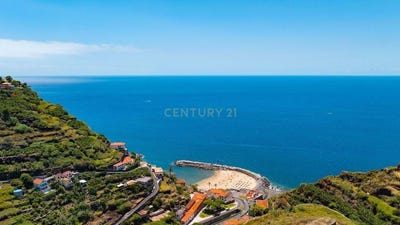 /international/pt/ilha-da-madeira-madeira-310100670669/
