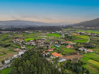 /international/pt/oliveira-braga-310097748415/
