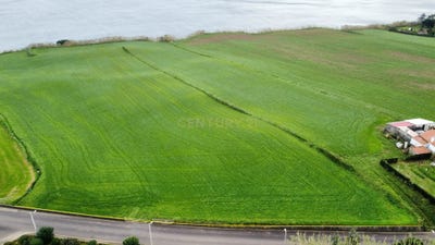 /international/pt/quarteiro-ilha-de-sao-miguel-azores-310108590060/