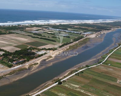 /international/pt/gafanha-da-encarnao-ilhavo-aveiro-310108047531/