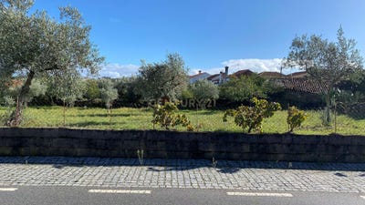 /international/pt/viona-benquerencas-castelo-branco-310105248447/