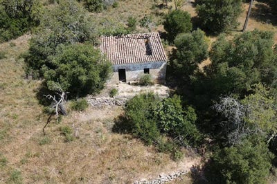 /international/pt/silves-faro-310108456274/