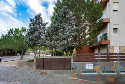 /international/pt/rua-do-rosmaninho-carvalhal-setubal-municipality-310105186983/