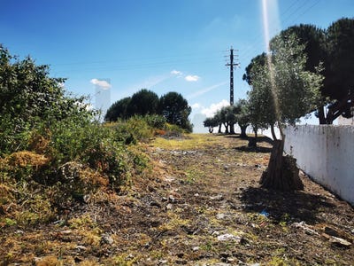 /international/pt/cartaxo-santarem-310100011626/?lang=zh-tw