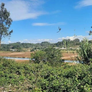 /international/pt/rua-candido-dos-reis-vagos-portugal-vagos-aveiro-310102244239/