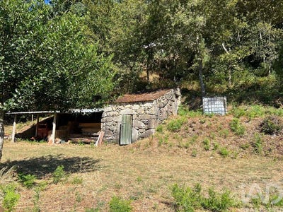 /international/pt/viseu-viseu-310101878300/