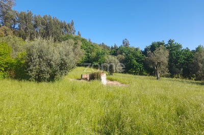 /international/pt/alvaiazere-leiria-120084239316/