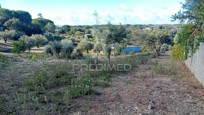 /international/pt/seica-ourem-santarem-310103135754/
