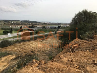 /international/pt/torres-novas-santa-maria-santarem-310100486534/