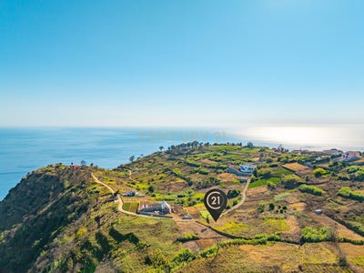 /international/pt/ilha-da-madeira-madeira-310101108488/