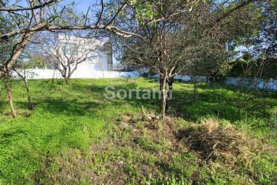 /international/pt/loule-faro-310098770276/