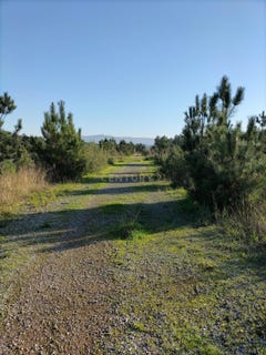 /international/pt/sesimbra-santiago-setubal-municipality-310098443810/