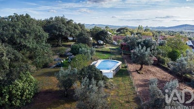 /international/pt/santarem-santarem-310104886908/