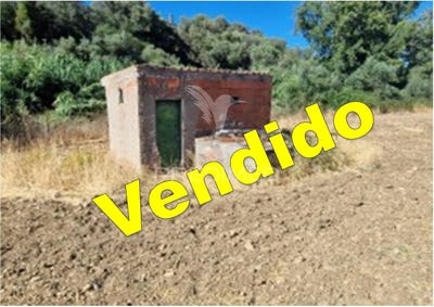 /international/pt/torrao-alcacer-do-sal-setubal-municipality-120080551587/
