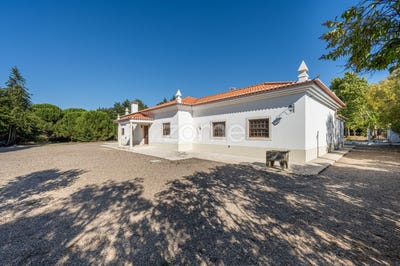 /international/pt/santarem-santarem-310093915781/?lang=en