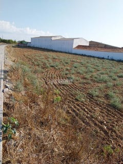 /international/pt/sao-joao-de-negrilhos-beja-310108321986/