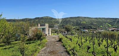 /international/pt/bucelas-loures-lisbon-310106937997/