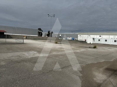 /international/pt/cadima-coimbra-310100273997/