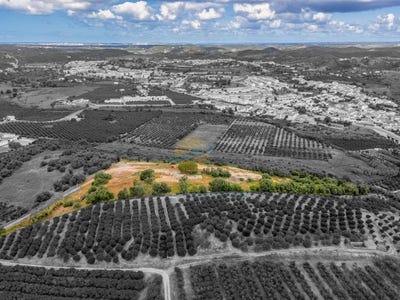 /international/pt/silves-faro-310107922249/