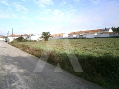 /international/pt/aradas-coimbra-310100272766/