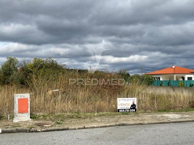 /international/pt/freixo-de-numao-vila-nova-de-foz-coa-guarda-310103535538/