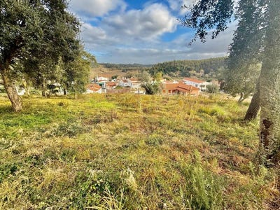 /international/pt/salir-de-matos-leiria-310105812568/