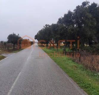 /international/pt/palmela-setubal-municipality-310100484415/