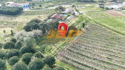 /international/pt/alcobaca-viana-do-castelo-310097747294/