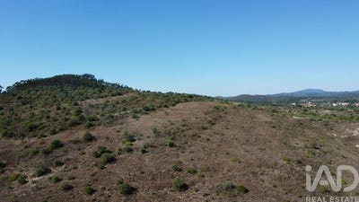 /international/pt/santarem-santarem-310102671306/