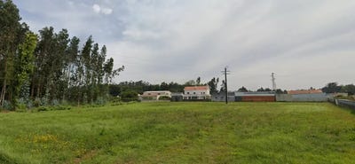 /international/pt/rua-do-rodelo-cortegaca-aveiro-310105175944/