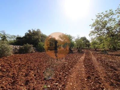 /international/pt/peral-faro-faro-120086451217/