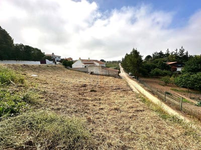 /international/pt/obidos-leiria-310100040425/