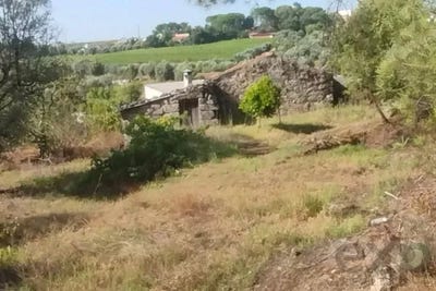 /international/pt/viseu-viseu-310106776300/