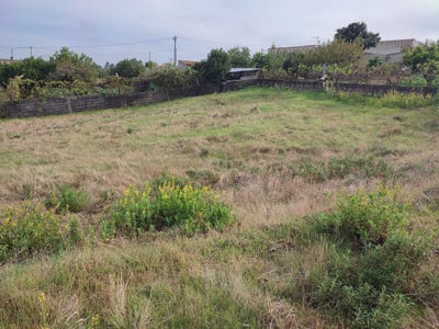 /international/pt/vale-da-raposa-caminho-castelo-branco-braganca-310105228968/