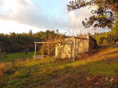 /international/pt/varzea-dos-cavaleiros-serta-porto-310098579253/